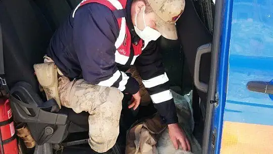 Yaralı köpeği fark eden jandarma, ekip aracıyla hastaneye götürdü