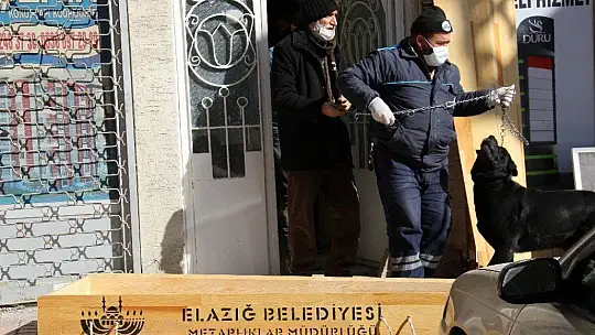 Yaşlı adam evinde ölü bulundu, ondan geriye köpeği kaldı