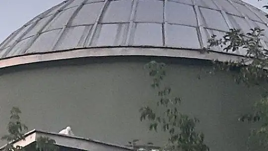 Yavru leylek, düştüğü yuvaya geri konuldu