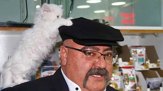 Yavru kediyle görüntüleri gülümsetmişti, her gün gidip kediyle vakit geçiriyor
