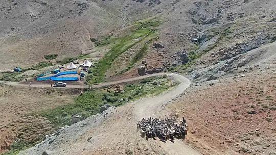 Yaylada çobanlık yapan Muhammet, LGS'de Türkiye ikincisi oldu