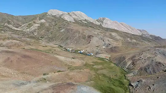 Yaylada çobanlık yapan Muhammet, LGS'de Türkiye ikincisi oldu