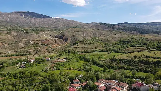 Yeşile bürünen Sivrice muhteşem doğasıyla cezbediyor