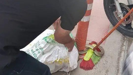 Yılan motosikletle şehre geldi