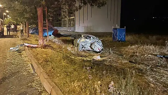 Yol kenarındaki ağaçlara çarpan otomobilden 2 yaralı