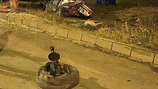 Yol kenarındaki ağaçlara çarpan otomobilden 2 yaralı