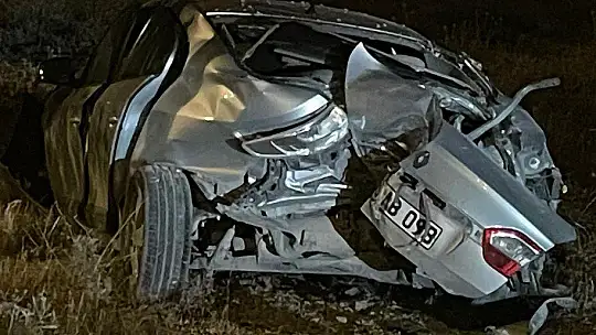 Yol kenarındaki ağaçlara çarpan otomobilden 2 yaralı