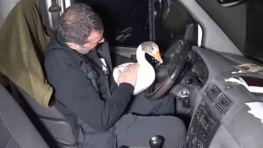 Yolda bulduğu ve 'Mamoş' ismini verdiği kazı, sahibine teslim etti