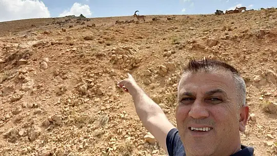Yolda gördüğü dağ keçileri ile diyaloğu ile gündem olmuştu, o anları anlattı
