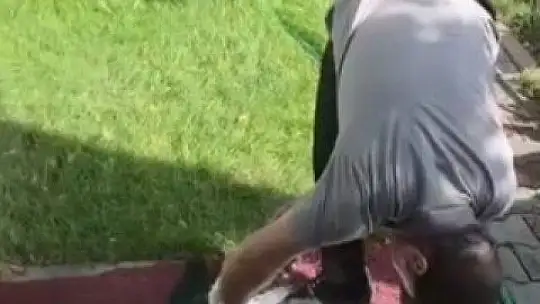 Yuvadan düşen yaralı leylek, tedavi altına alındı