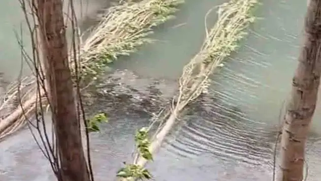 Şiddetli fırtına hayatı felç etti