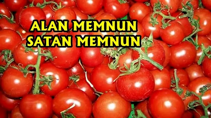 Sebzeye Talep Çok