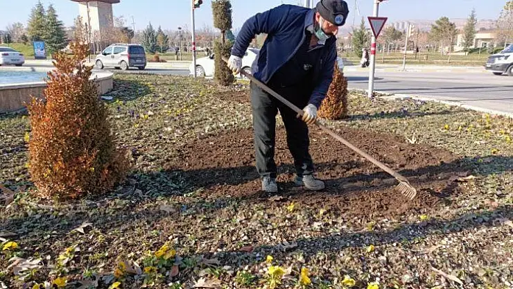 Elazığ'da 107 bin çiçek toprakla buluştu
