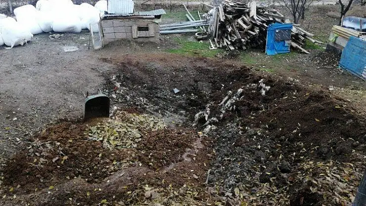 Elazığ'da kurt, 2 koyunu telef etti