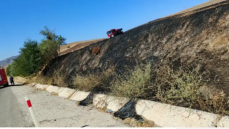 Elazığ'da otluk alanda yangın