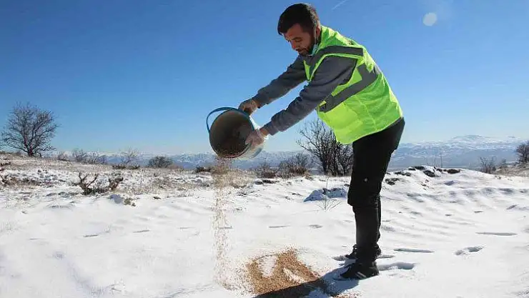Elazığ'da 90 farklı noktaya yem bırakıldı
