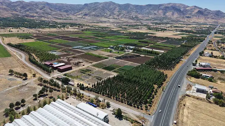 Elazığ'da üretilen milyonlarca fidan, ülkeye nefes oluyor