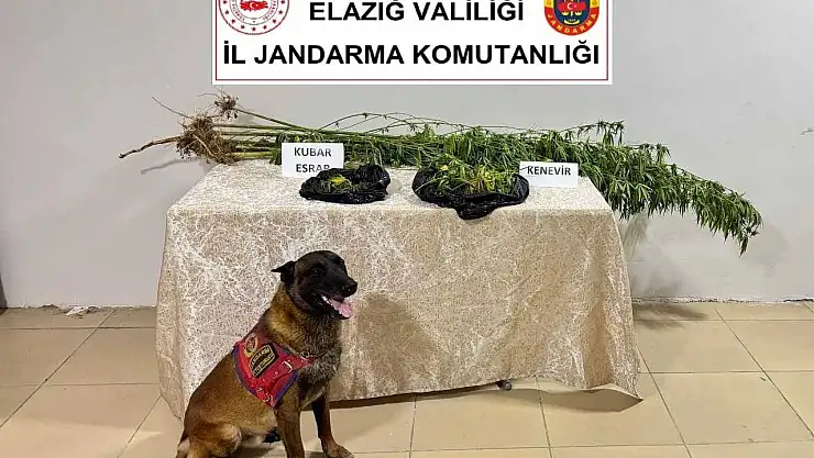 Elazığ'da uyuşturucuyla mücadele