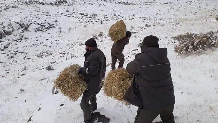 Elazığ'da Yaban Hayatı İçin Yem Desteği Sürüyor
