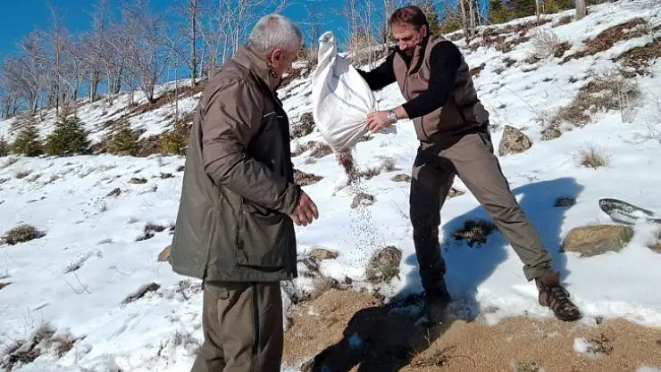 Hayvanlar için doğaya yem bırakıldı