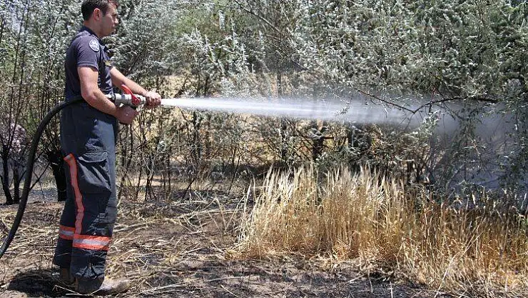 Elazığ'da yangın: 12 dönüm ekili alan kül oldu