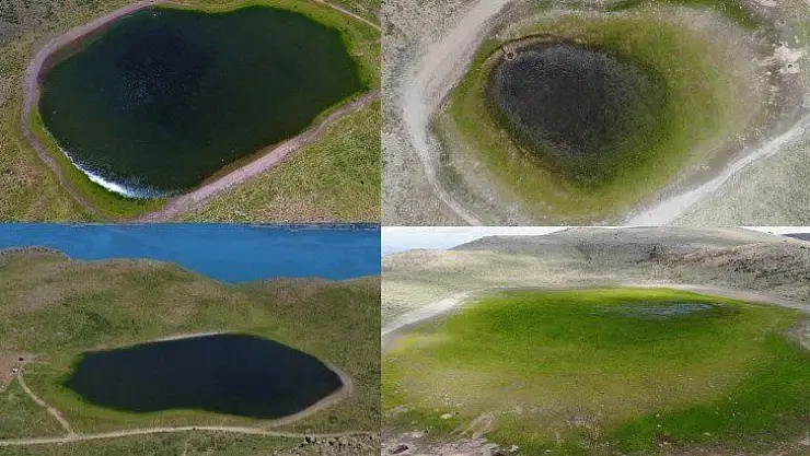 Elazığ'ın 2 bin rakımdaki kalp gölü Bervi kurudu, hayvanlara otlak oldu
