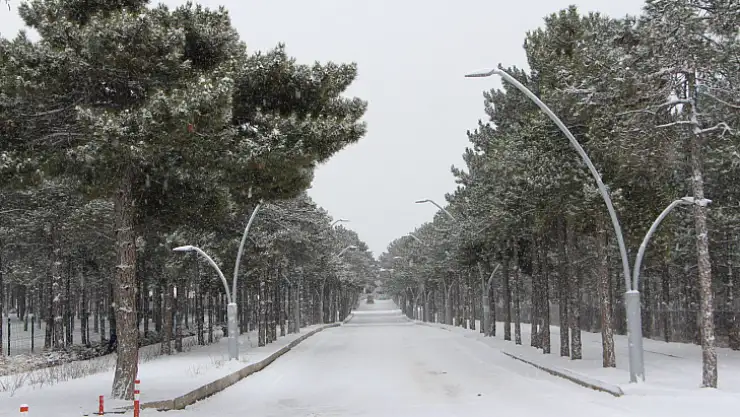 Fırat Üniversitesi' nden Kar Manzaraları