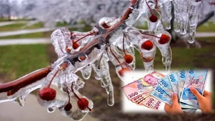 Afet Zararları Ödemeleri Başladı