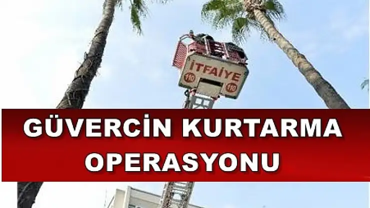 Elazığlılardan Duyarlı Hareket