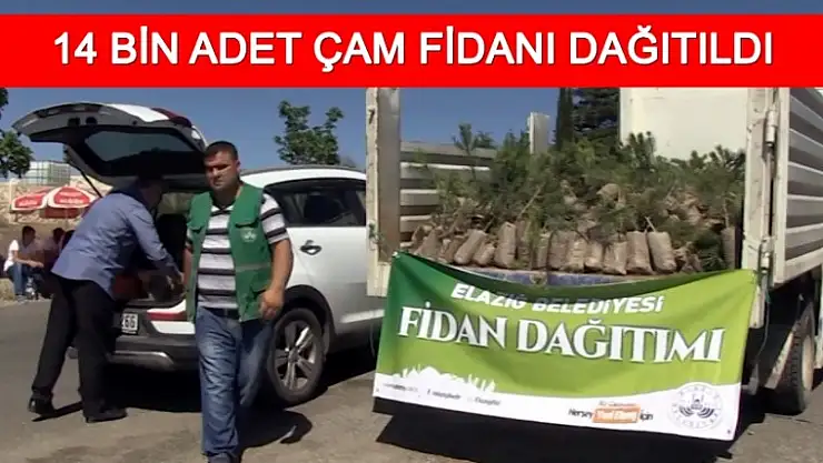 Belediye Çam Fidanı Dağıttı