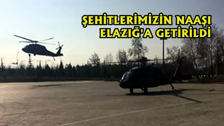 Şehitlerimizin Naaşı Elazığ'a Getirildi
