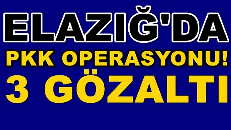 Elazığ'da PKK Operasyonu: 3 Gözaltı