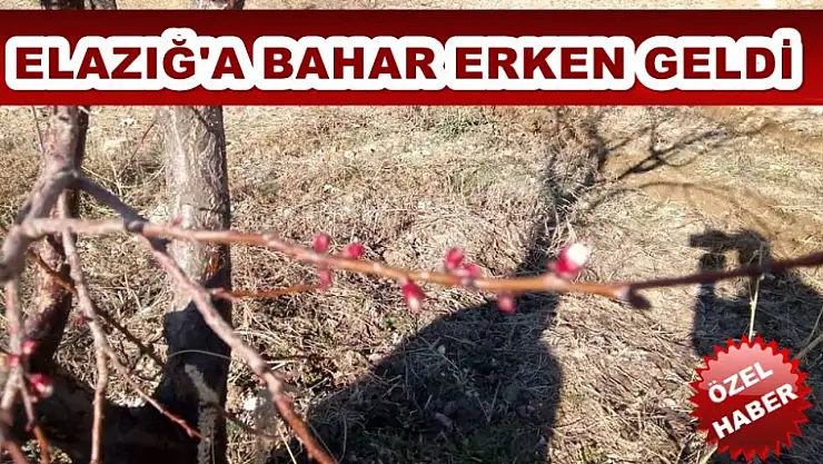 Bahar Erken Geldi