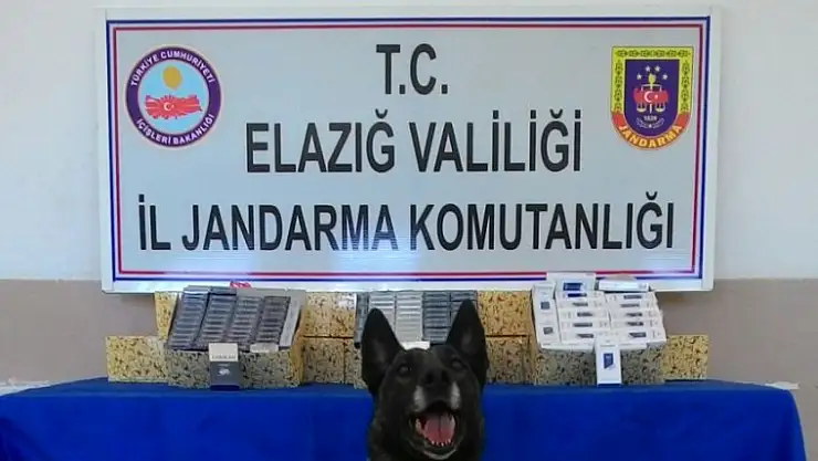 Jandarma Yakaladı Çok Şaşıracaksınız !
