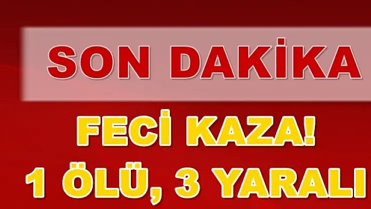 Dikkatsizlik Can Aldı!