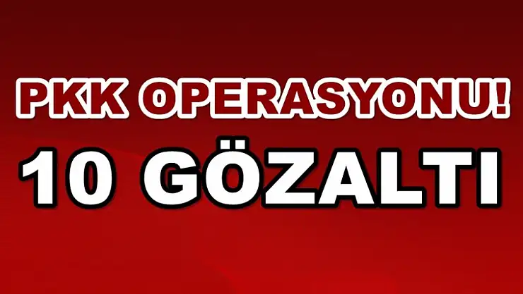 Elazığ'da PKK'dan 10 Gözaltı