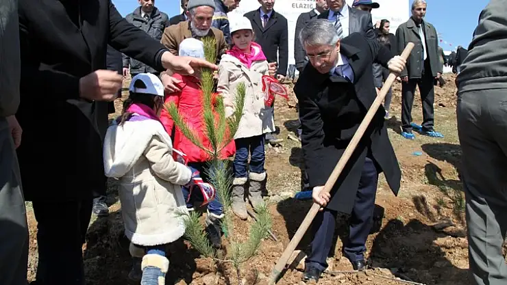 Yanılmaz Bereket Ormanına Fidan Dikti