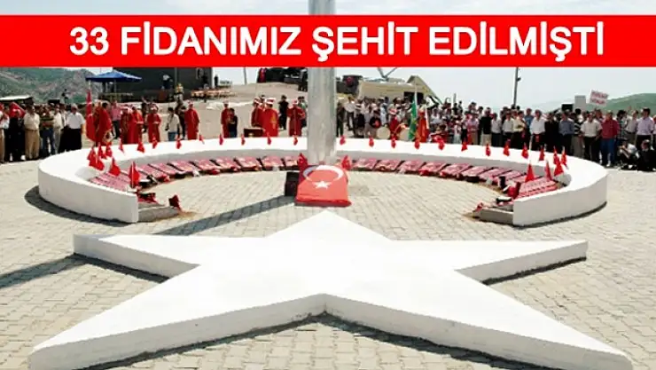 Hain Pusunun Yıldönümü