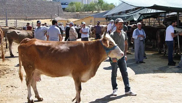Kurban pazarında son gün yoğunluğu