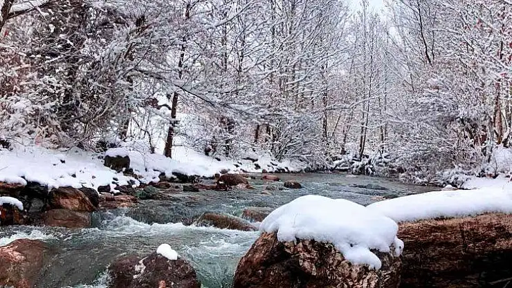 Mirvan Çayı
