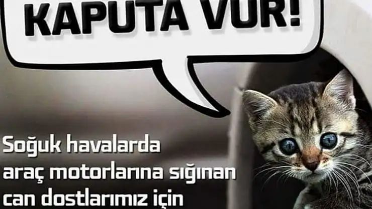 Odadan Uyarı!