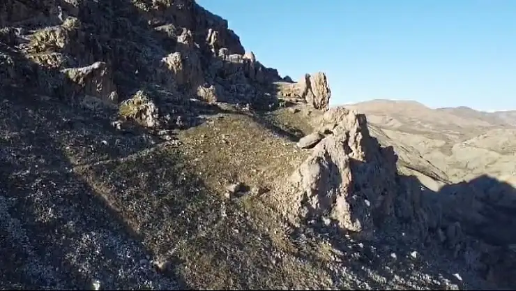 Palu Kalesi civarında gezen dağ keçileri dron ile görüntülendi