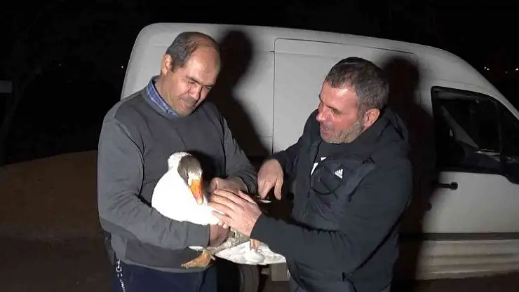 Yolda bulduğu  ve 'Mamoş' ismini verdiği kazı,  sahibine teslim etti