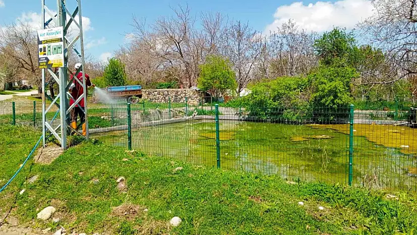 Elazığ'da larva ilaçlama çalışmaları sürüyor