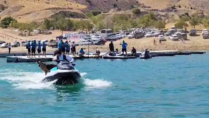 Jet ski turu atan köpek gülümsetti
