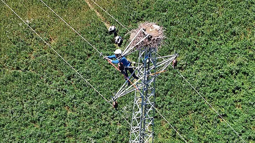 Doğu Anadolu'da hem leylekler hem de enerji güvende