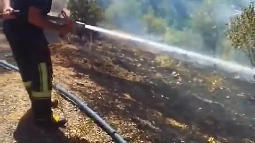 Elazığ'da bahçe yangını söndürüldü