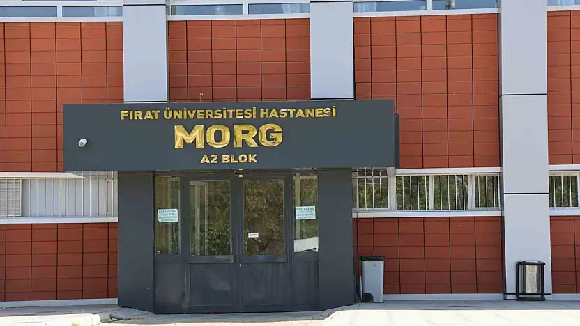 Elazığ'da uçurumdan düşen genç hayatını kaybetti