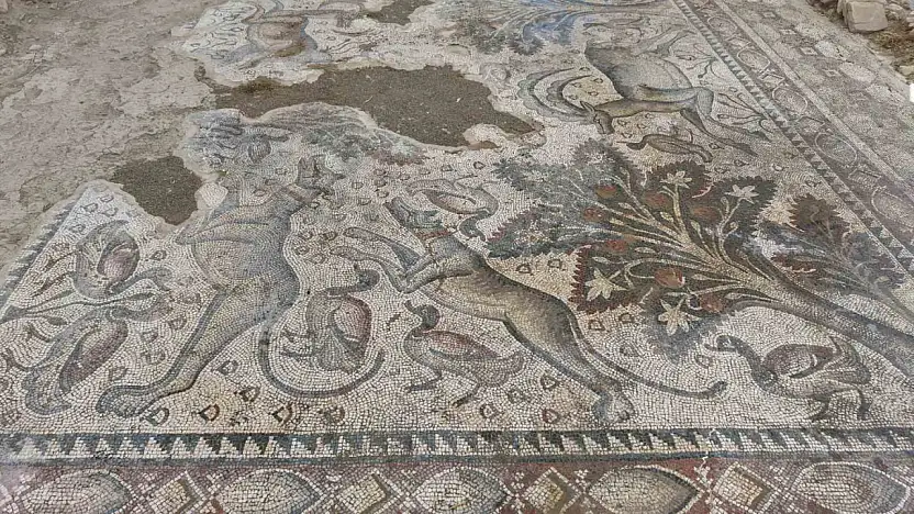 Hayvan figürleriyle dolu bin 700 yıllık Roma mozaiği, burjuva yaşamının izlerini taşıyor